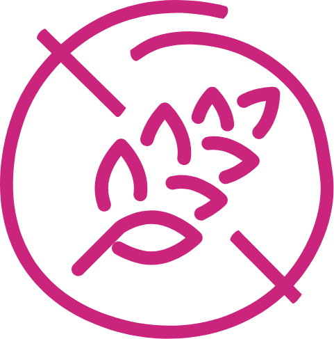 Gluten free icon